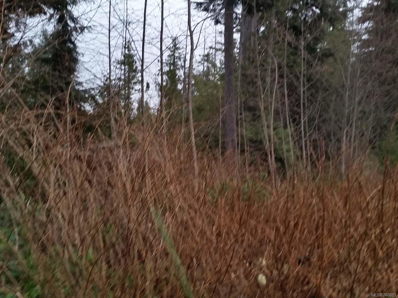 Main Photo: LT 10 S Bamfield Rd in : PA Bamfield Land for sale (Port Alberni) : MLS®# 746693