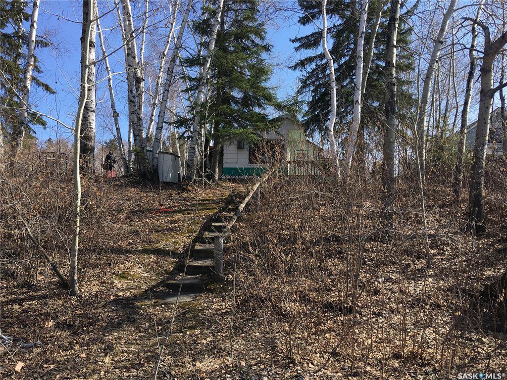 Main Photo: 403 Pine Drive in Tobin Lake: Residential for sale : MLS®# SK806644