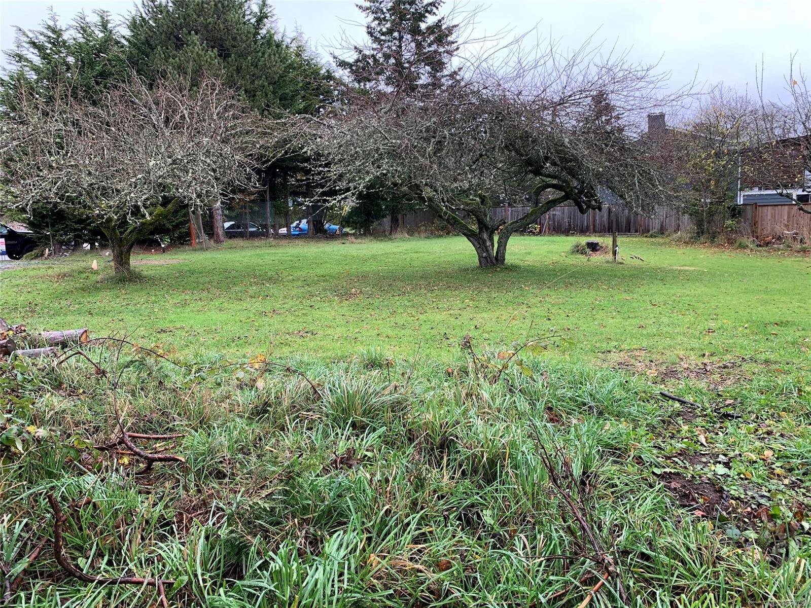 Main Photo: 18XX San Lorenzo Ave in : SE Gordon Head Land for sale (Saanich East) : MLS®# 860728