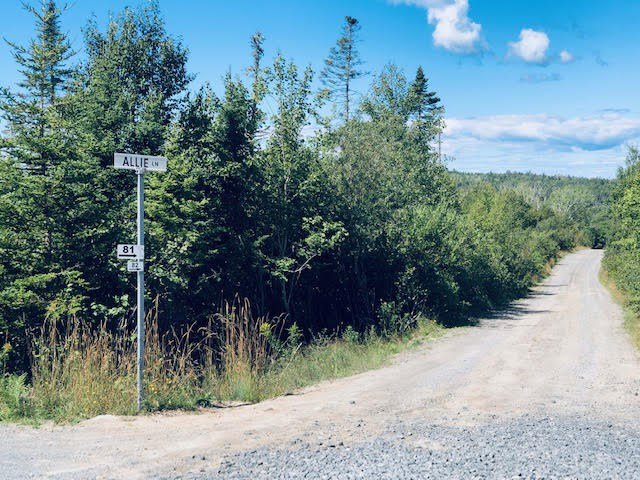 Main Photo: Lot 2E Allie Lane in Whites Lake: 40-Timberlea, Prospect, St. Margaret`S Bay Vacant Land for sale (Halifax-Dartmouth) : MLS®# 202017913