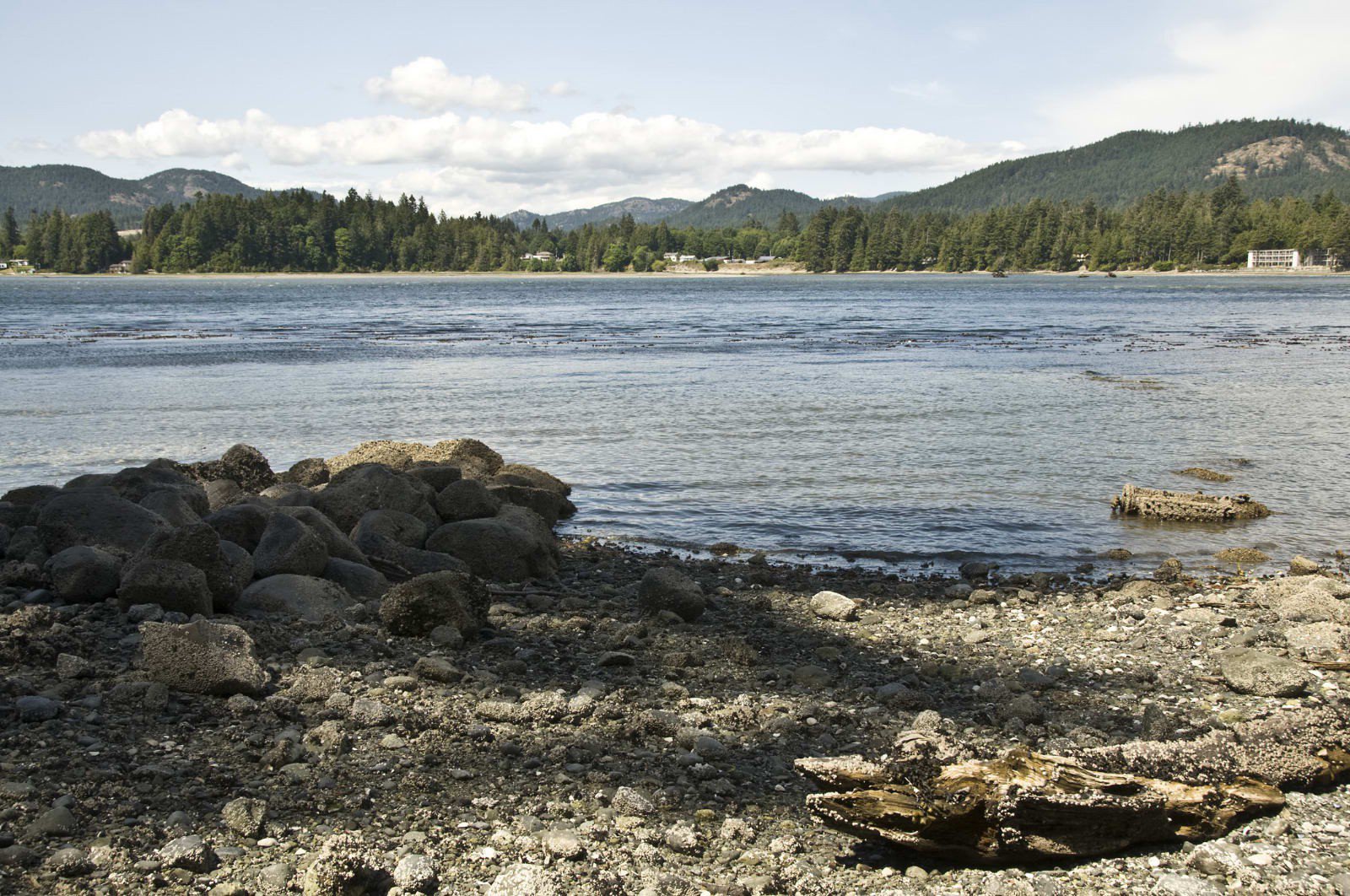 Main Photo: 6520 East Sooke Rd in Victoria: Sk East Sooke House for sale (Sooke) : MLS®# 277305