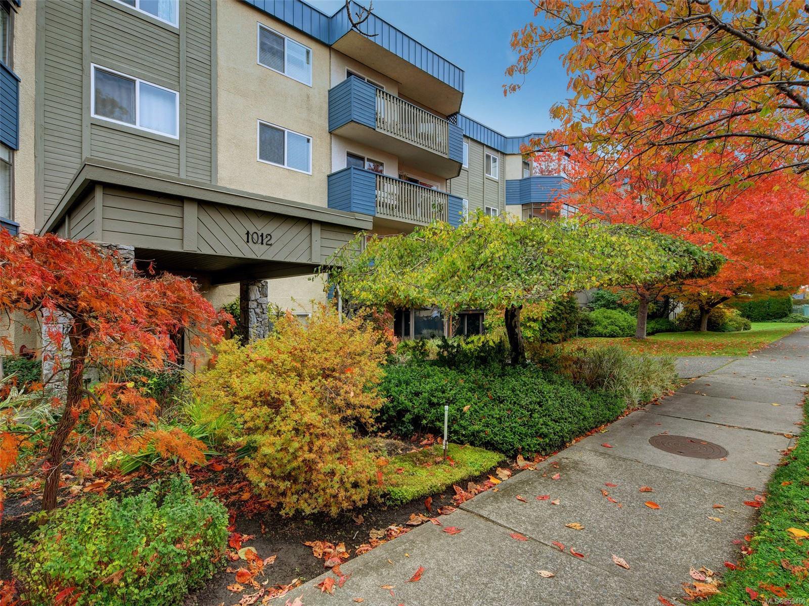 Main Photo: 209 1012 COLLINSON St in : Vi Fairfield West Condo for sale (Victoria) : MLS®# 859466