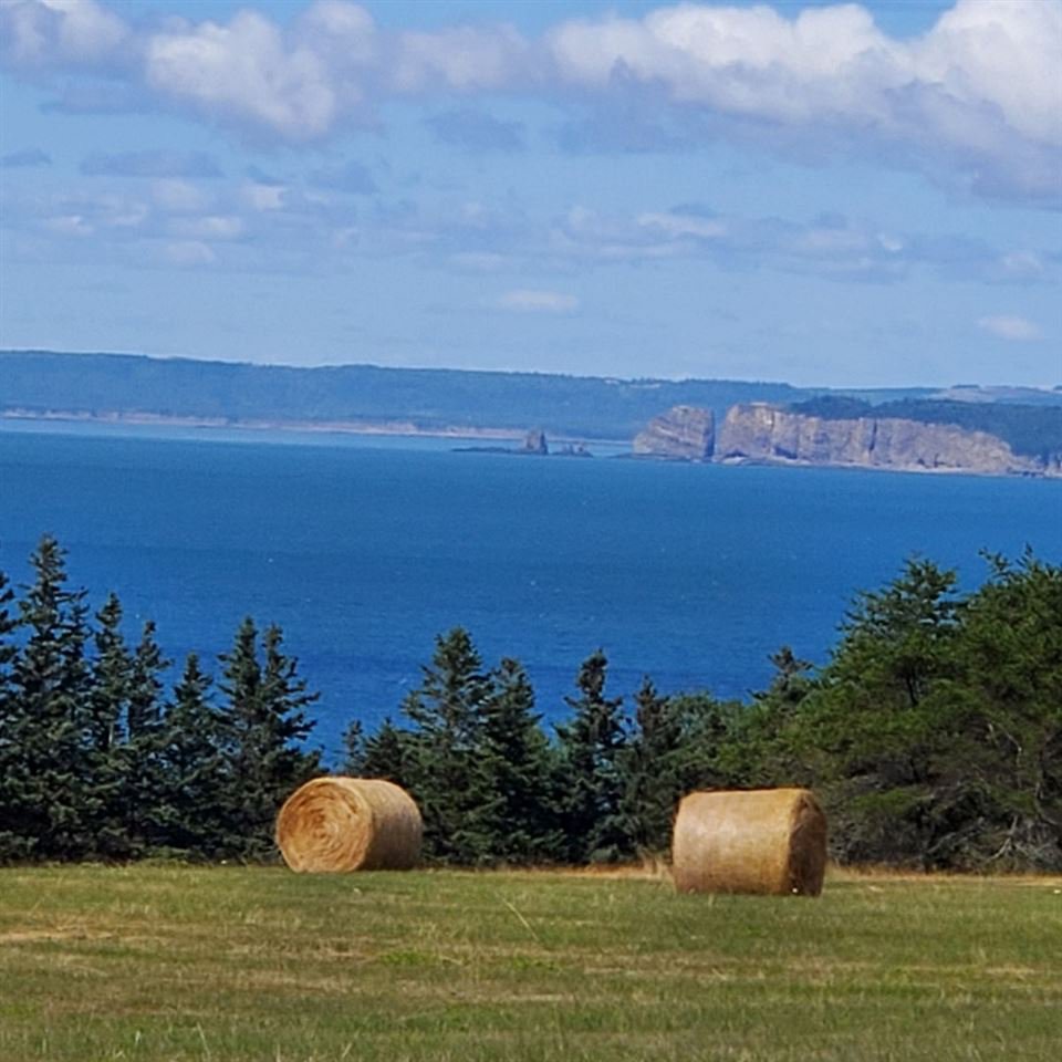 Main Photo: Lot Baxters Harbour Road in Baxters Harbour: 404-Kings County Vacant Land for sale (Annapolis Valley) : MLS®# 202016507