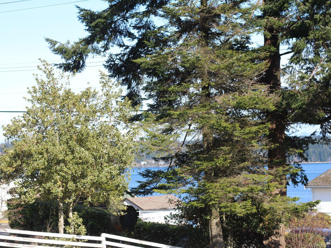 Main Photo: 292 Island Hwy in CAMPBELL RIVER: CR Campbell River Central House for sale (Campbell River) : MLS®# 835229
