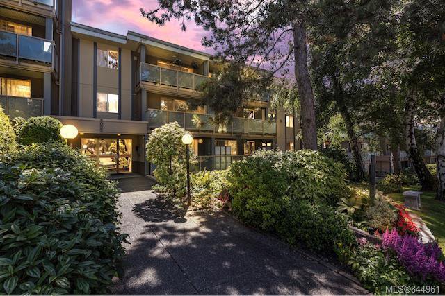 Main Photo: 204 1025 Inverness Rd in Saanich: SE Quadra Condo for sale (Saanich East) : MLS®# 844961