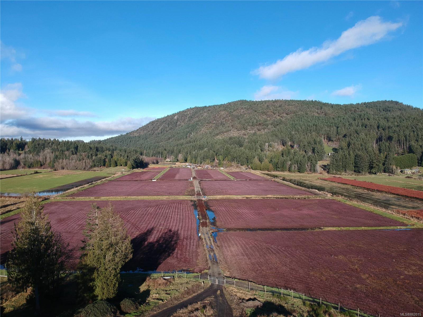 Main Photo: 7165 Mays Rd in : Du East Duncan Land for sale (Duncan) : MLS®# 862015