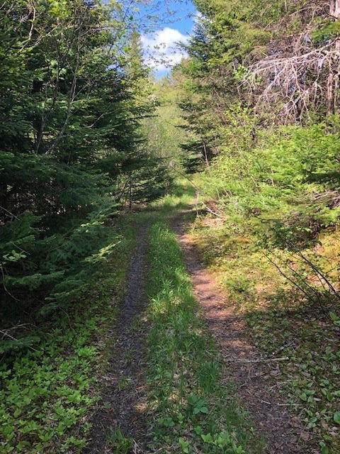 Main Photo: 179 Portage Road in Wilburn: 306-Inverness County / Inverness & Area Vacant Land for sale (Highland Region) : MLS®# 202001392