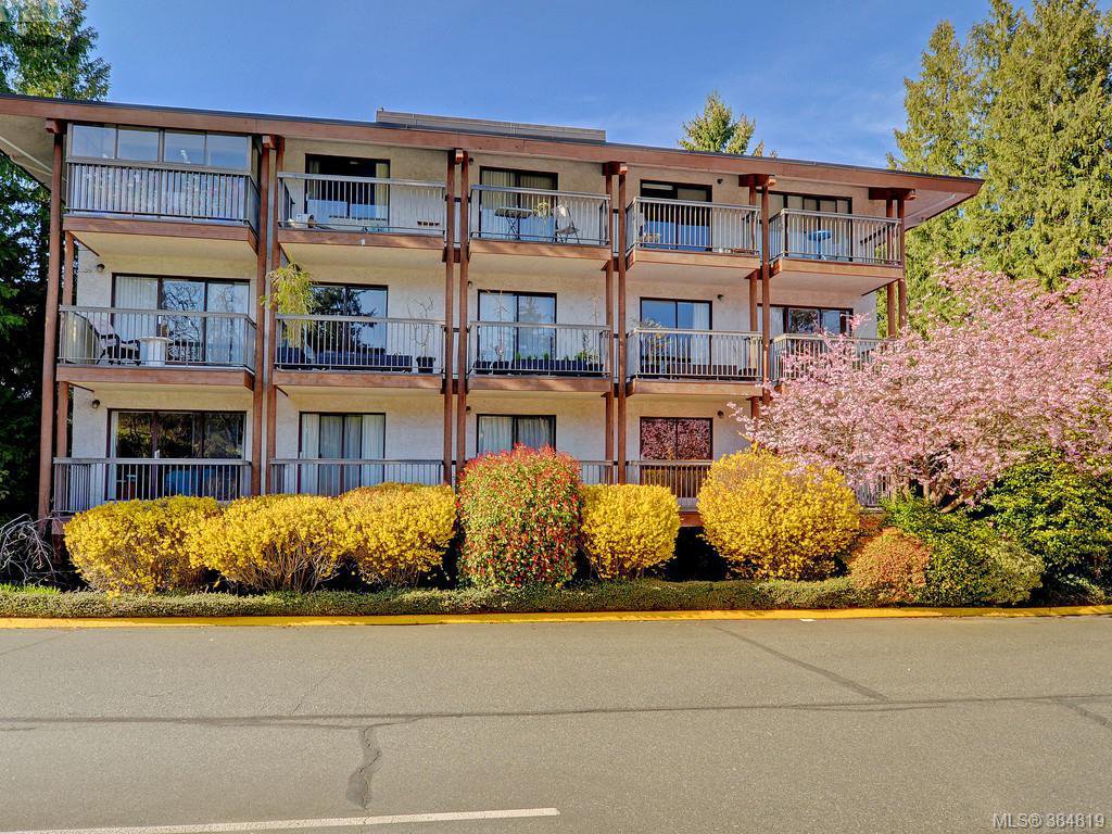 Main Photo: 415 1005 McKenzie Ave in VICTORIA: SE Quadra Condo for sale (Saanich East) : MLS®# 773473