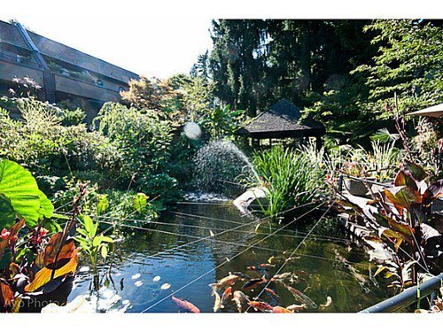 Main Photo: 333 7377 SALISBURY Ave in Burnaby South: Highgate Home for sale () : MLS®# V1030199