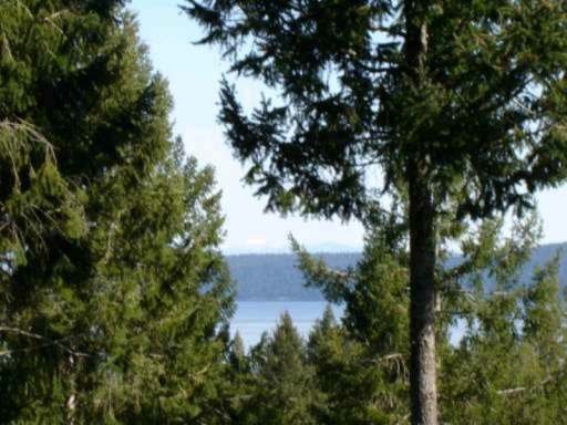 Main Photo: 232 Plateau Road in Thetis Island: House Land for sale