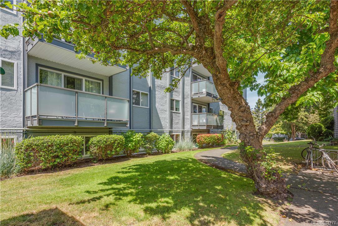 Main Photo: 203 305 Michigan St in Victoria: Vi James Bay Condo for sale : MLS®# 844777
