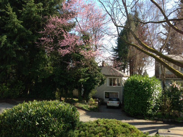original cottage on large lot