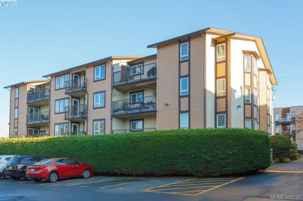 Main Photo: 106 3258 Alder St in VICTORIA: SE Quadra Condo Apartment for sale (Saanich East) : MLS®# 775931