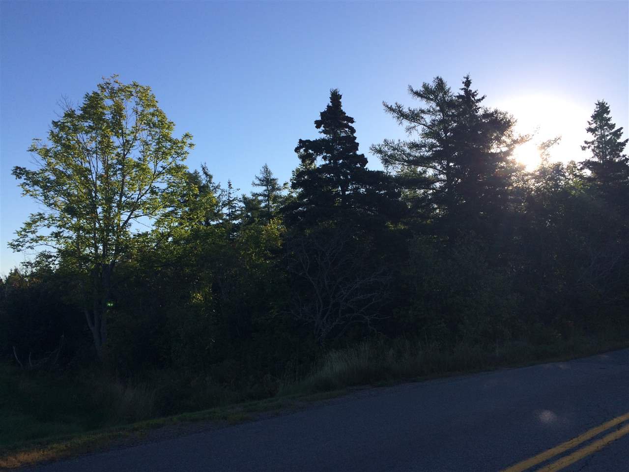 Main Photo: John Campbell Road in Frasers Mountain: 108-Rural Pictou County Vacant Land for sale (Northern Region) : MLS®# 202006605