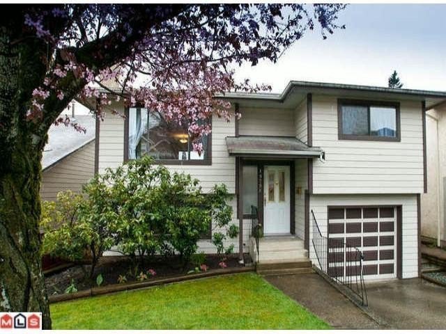 Main Photo: 19796 68TH AV in Langley: Willoughby Heights Home for sale () : MLS®# F1109000