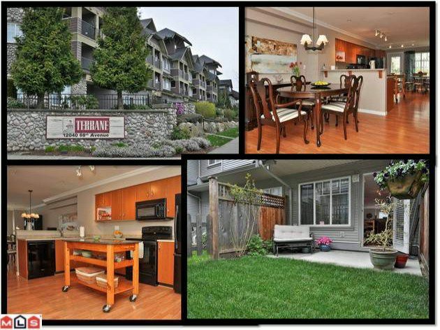 Main Photo: # 166 12040 68TH AV in Surrey: West Newton Condo for sale in "Terrane" : MLS®# F1208802