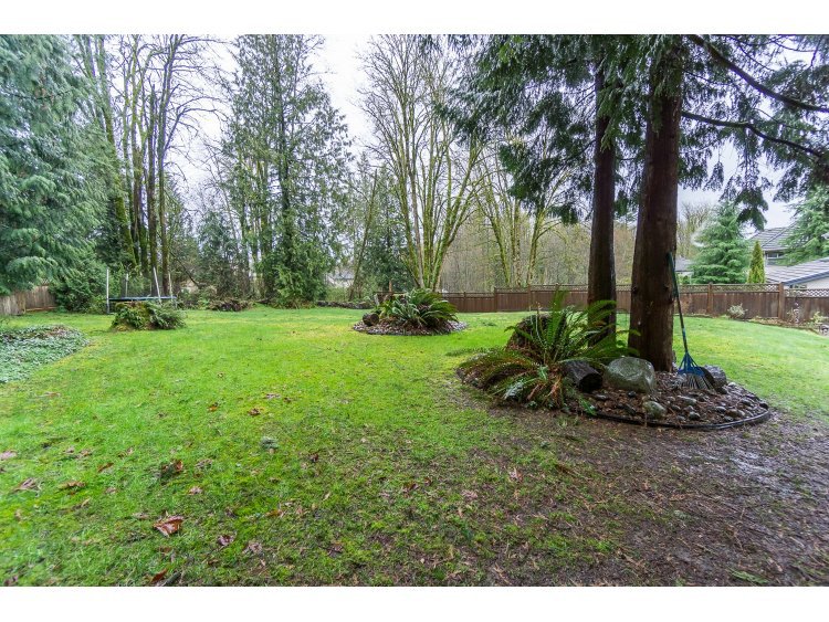 9809 182 Street in Surrey Fraser Heights House for sale in "Abbey
