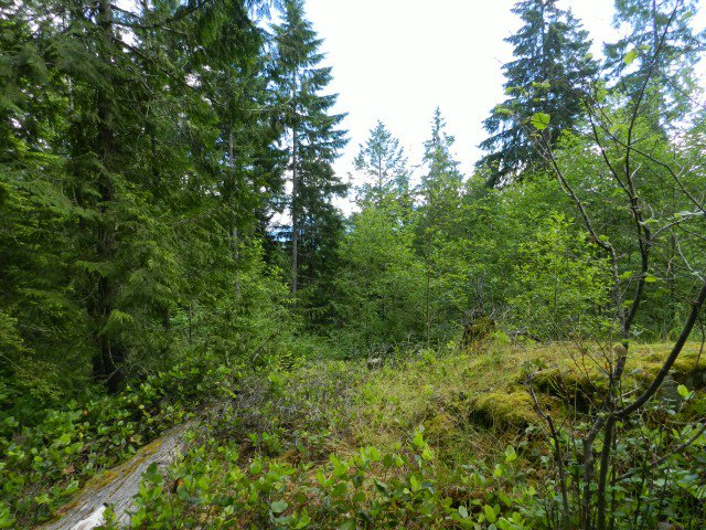 Main Photo: LOT 40 Mountainview Road in Pender Harbour: Pender Harbour Egmont Land for sale (Sunshine Coast) : MLS®# V1012841