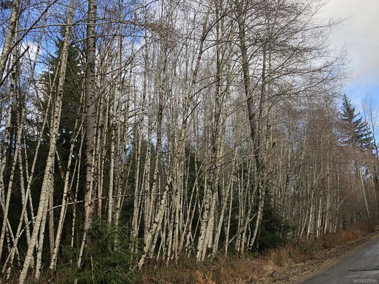 Main Photo: LT 13 PRENDERGAST ROAD in COURTENAY: CV Courtenay West Land for sale (Comox Valley) : MLS®# 779740