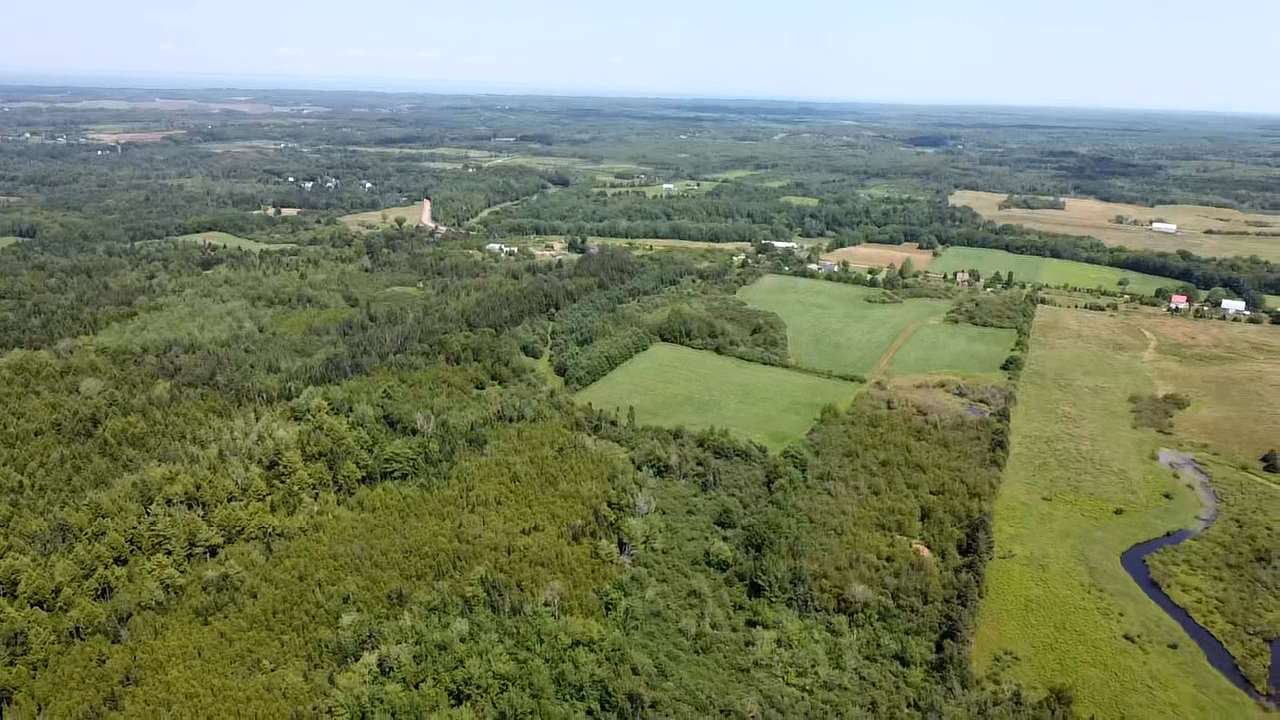 Main Photo: West Branch Road in Welsford: 108-Rural Pictou County Vacant Land for sale (Northern Region) : MLS®# 202013159