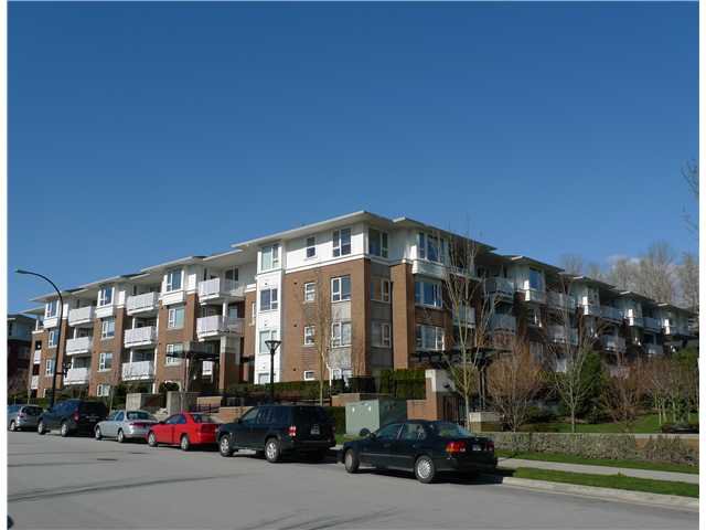 Main Photo: # 215 4783 DAWSON ST in Burnaby: Brentwood Park Condo for sale in "COLLAGE" (Burnaby North) : MLS®# V937070