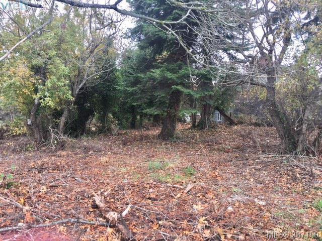 Main Photo: 3684 Saanich Rd in VICTORIA: SE Quadra Land for sale (Saanich East) : MLS®# 777941
