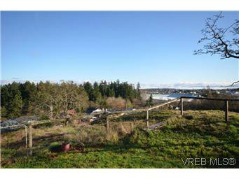 Main Photo: 522 Davida Avenue in VICTORIA: SW Gorge Residential for sale (Saanich West) : MLS®# 302063