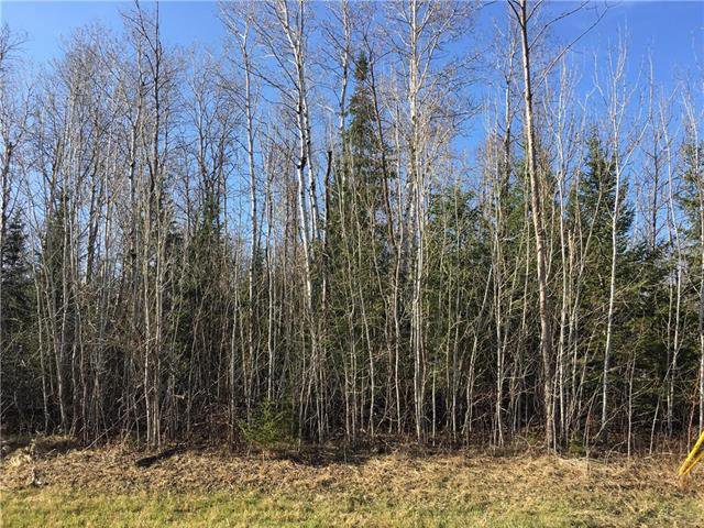 Main Photo: 52 Fred Jeschke Drive in Lac Du Bonnet RM: Granite Hills Residential for sale (R28) : MLS®# 202006877