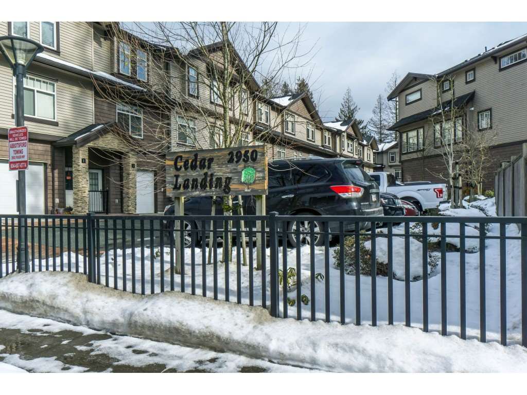 Main Photo: 19 2950 LEFEUVRE ROAD in Abbotsford: Aberdeen Townhouse for sale : MLS®# R2341349