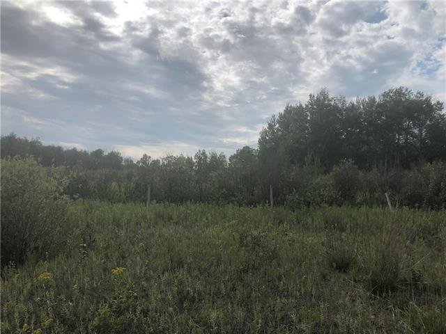 Main Photo: 0 520 Highway in Lac Du Bonnet RM: RM of Lac du Bonnet Residential for sale (R28) : MLS®# 1923428