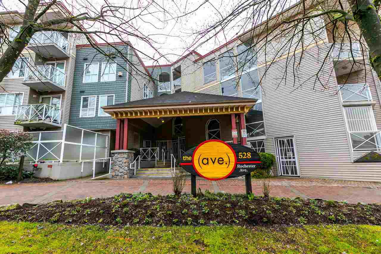 Main Photo: 203 528 ROCHESTER AVENUE in Coquitlam: Coquitlam West Condo for sale : MLS®# R2145089