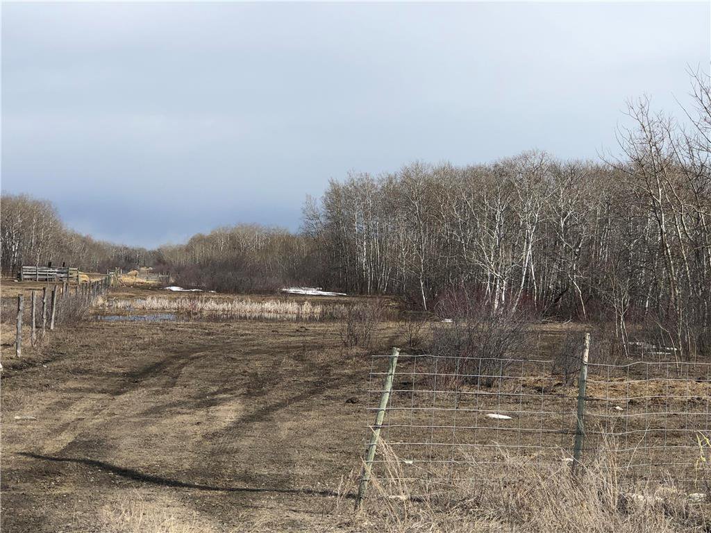 Main Photo: 0 Governor Road in St Laurent: RM of St Laurent Residential for sale (R19) : MLS®# 202008261