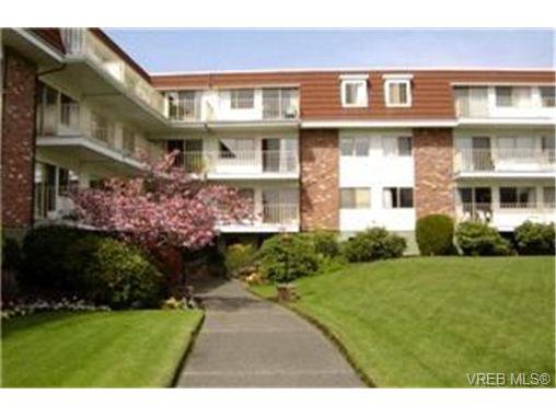 Main Photo: 117 1680 Poplar Avenue in VICTORIA: SE Mt Tolmie Condo Apartment for sale (Saanich East) : MLS®# 246804