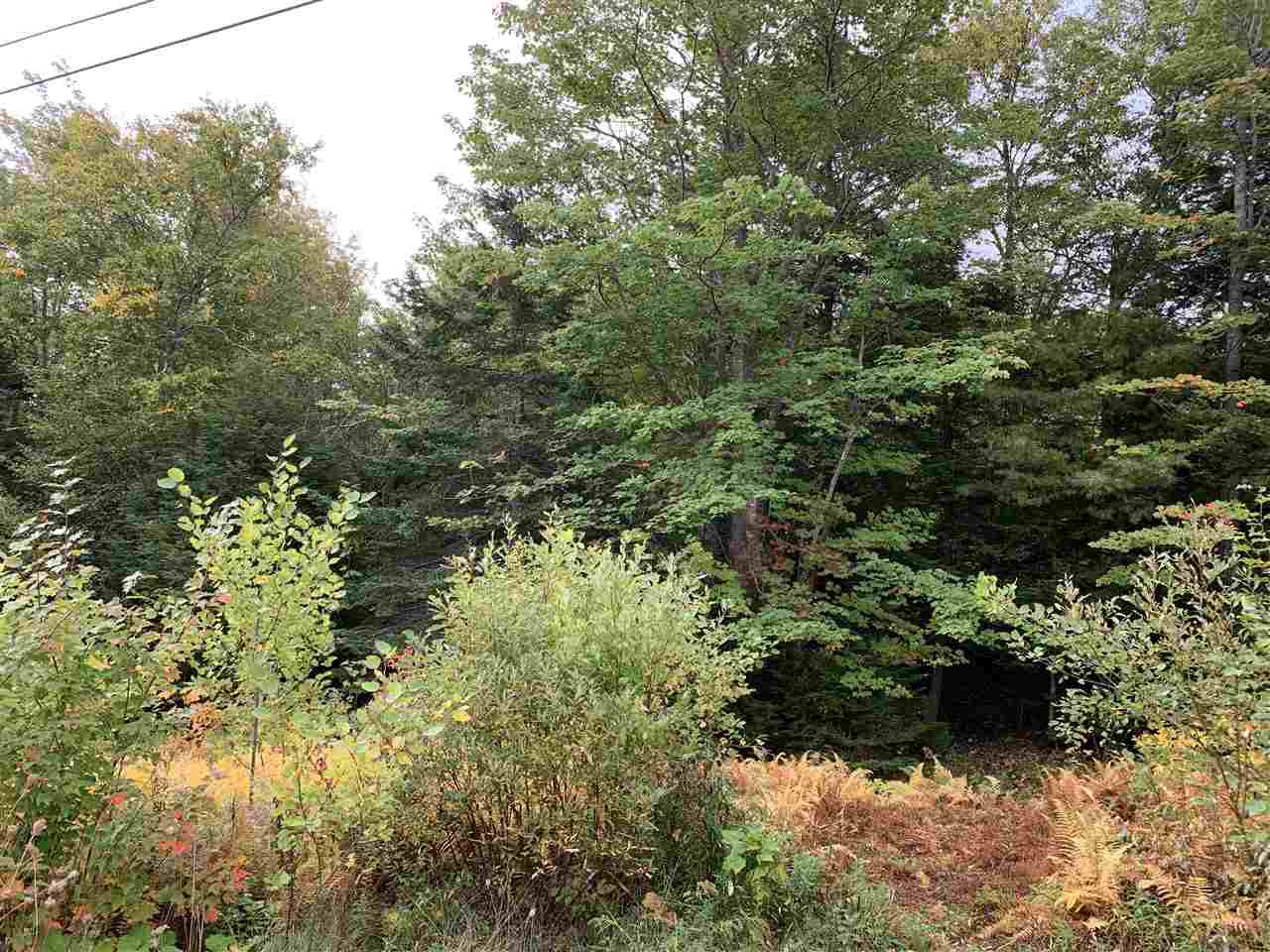 Main Photo: Lot 7-8 Logan Road in Frasers Mountain: 108-Rural Pictou County Vacant Land for sale (Northern Region) : MLS®# 202020090