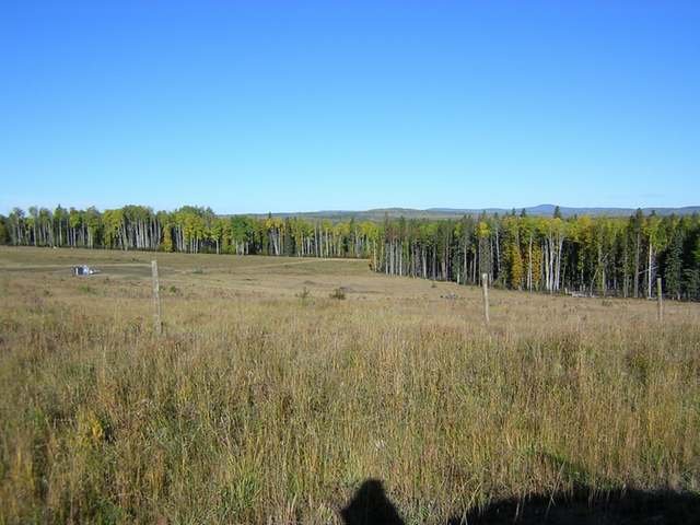 Main Photo: : Edson Rural Land for sale () : MLS®# 22122
