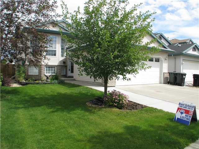Main Photo: 382 Rainbow CR in SHERWOOD PARK: Zone 25 Residential Detached Single Family for sale (Strathcona) : MLS®# E3231099
