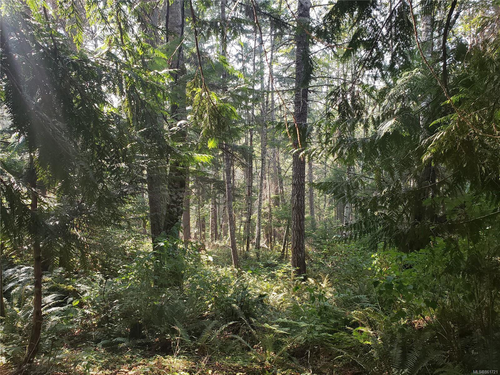 Main Photo: LT 21 Stebbings Rd in : ML Shawnigan House for sale (Malahat & Area) : MLS®# 861721