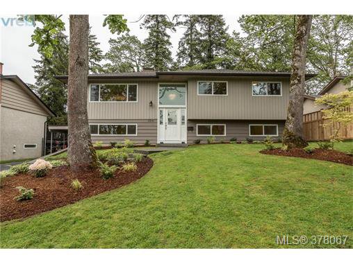 Main Photo: 3941 MARGOT Pl in VICTORIA: SE Maplewood House for sale (Saanich East) : MLS®# 759177