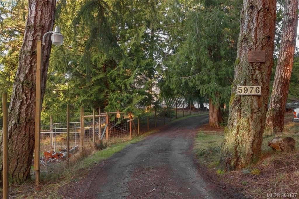 Main Photo: 5976 Leda Rd in SOOKE: Sk East Sooke House for sale (Sooke) : MLS®# 779979