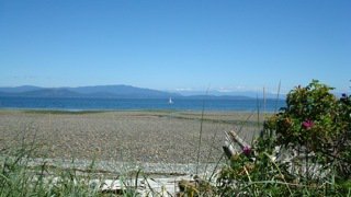Main Photo: 1713 Admiral Tryon Blvd in Parksville: Beach Home for sale