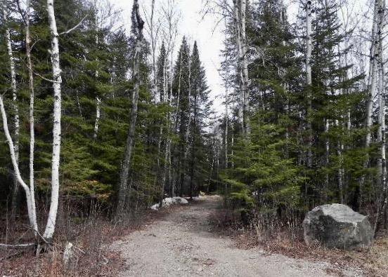Main Photo: 8 Clearwater Cove in Victoria Beach: Clearwater Cove Residential for sale (R27) : MLS®# 1918276