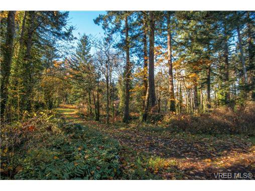 Main Photo: 6586 West Saanich Road in SAANICHTON: CS Brentwood Bay Single Family Detached for sale (Central Saanich) : MLS®# 358007