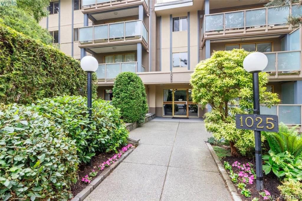 Main Photo: 221 1025 Inverness Rd in VICTORIA: SE Quadra Condo for sale (Saanich East) : MLS®# 772775