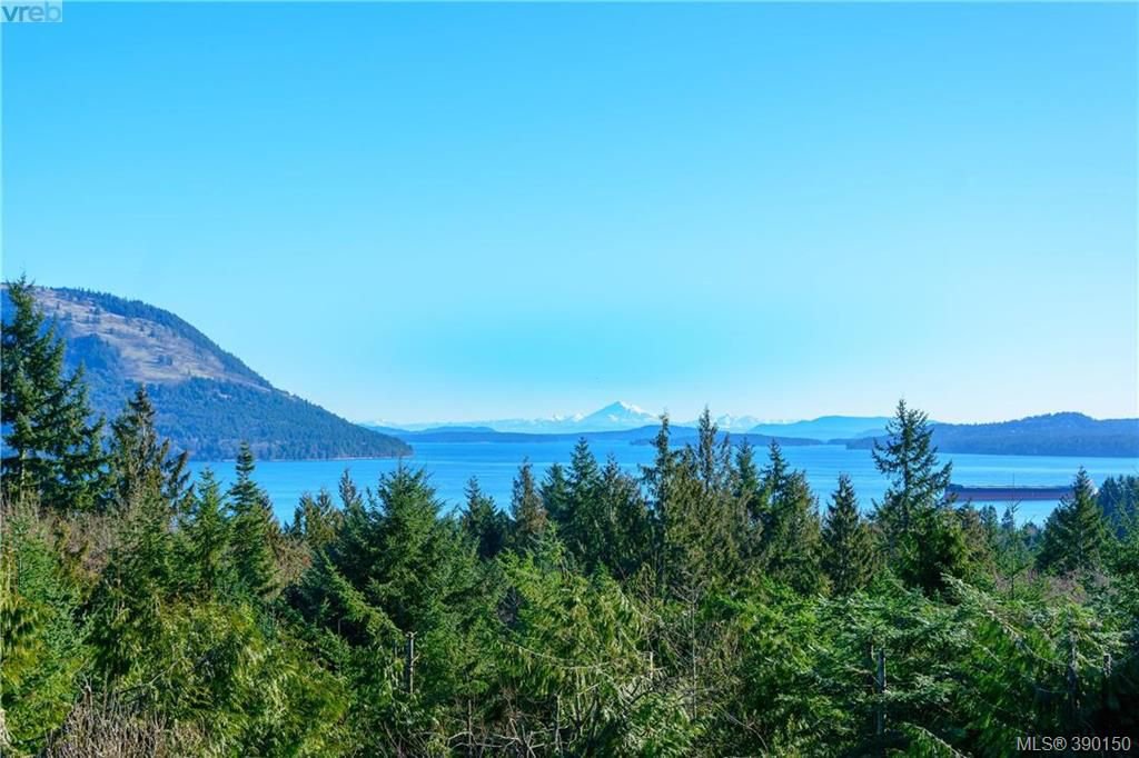 Main Photo: 3910 Lefran Road in HORSEFLY: ML Cobble Hill Single Family Detached for sale (Malahat & Area) : MLS®# 390150