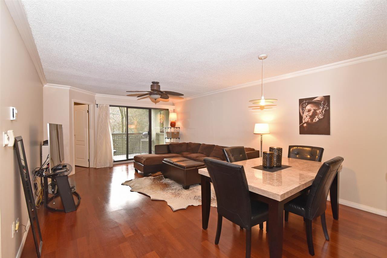 Main Photo: 205 1210 PACIFIC STREET in Coquitlam: North Coquitlam Condo for sale : MLS®# R2235055