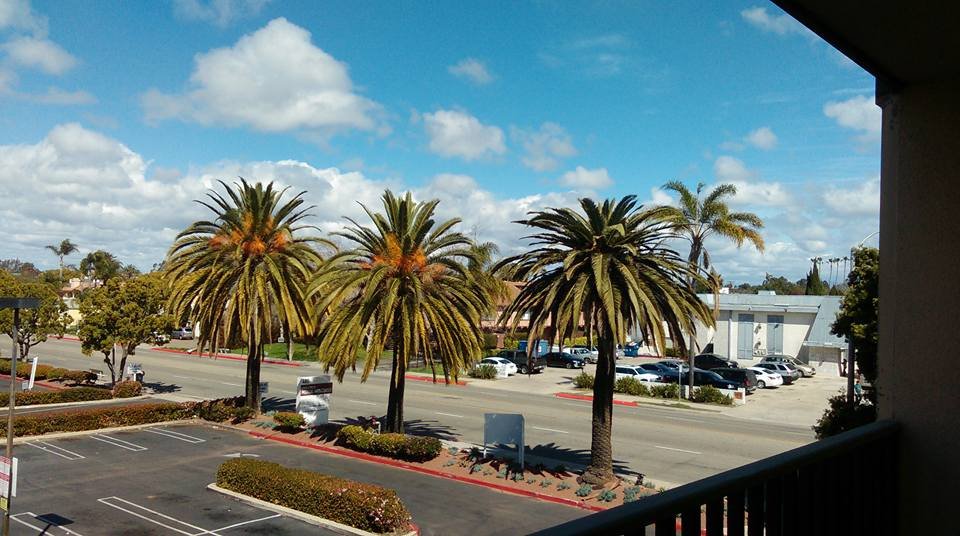 Main Photo: CHULA VISTA Condo for rent : 1 bedrooms : 490 4th AVE #34