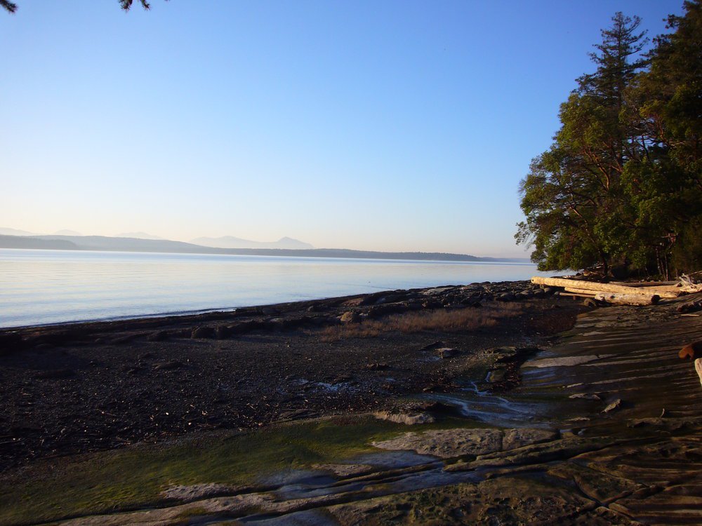 Main Photo: 371 Lupin Lane in Thetis Beach Properties: West Facing Waterfront for sale