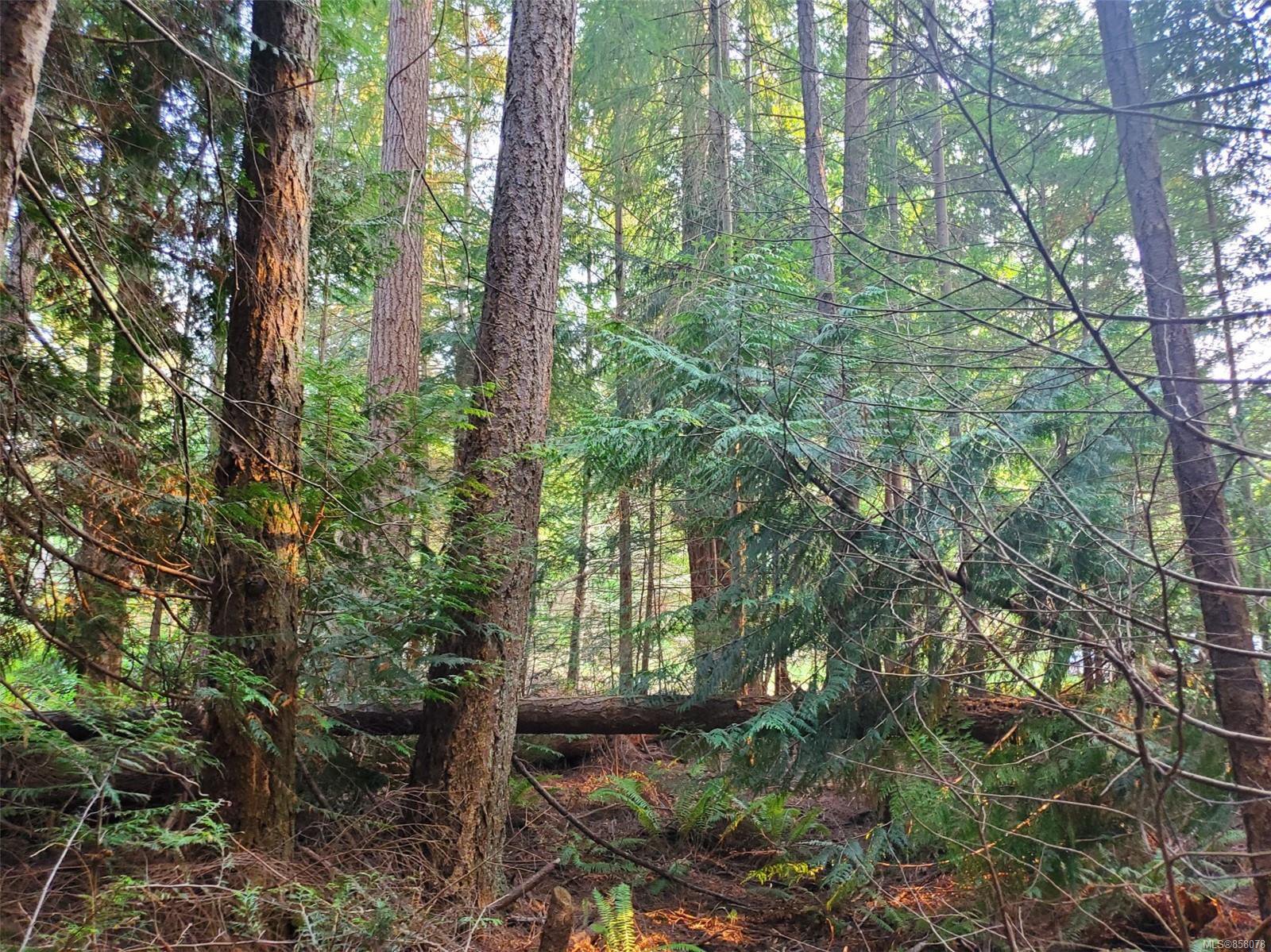 Main Photo: LT 21 Balsam St in : Isl Gabriola Island Land for sale (Islands) : MLS®# 858078