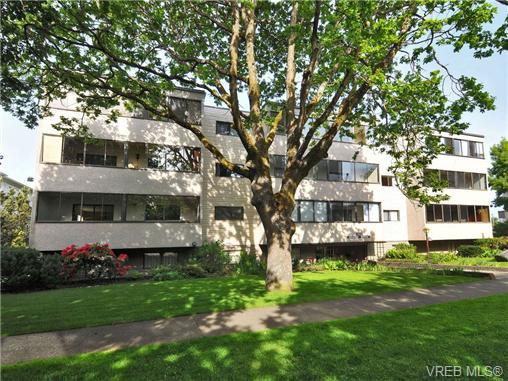Main Photo: 101 2610 Graham St in VICTORIA: Vi Hillside Condo Apartment for sale (Victoria) : MLS®# 739028