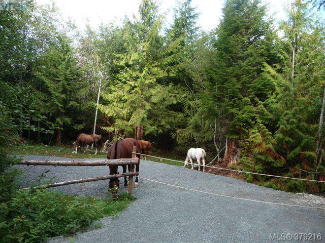 Main Photo: LOT A West Coast Rd in SHIRLEY: Sk Sheringham Pnt Land for sale (Sooke) : MLS®# 761554